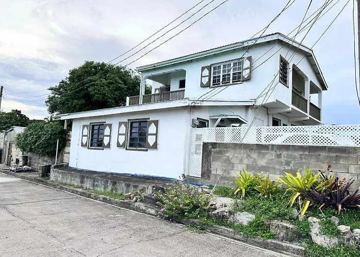 Amber Lily Studio