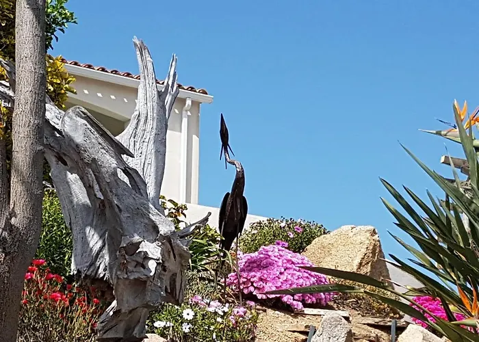 Résidence U MELU GRAND T3 ROUGE en rez de jardin
