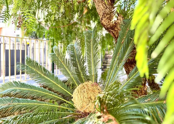 Casa Rosetta - Relax in Centro, Parcheggio Privato, Mare a 2 Passi