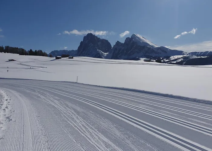 3-Sterne-Hotel: Hotel Alpenroyal