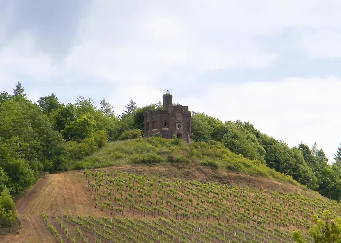 Schroeders Wein-Style-