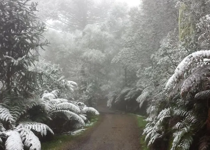 Snow Valley Eco Lodge