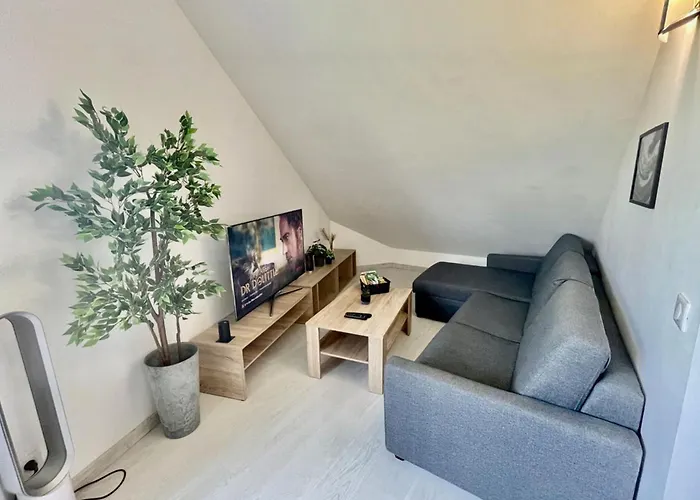 Loft - Mezzanine - Vue sur le Loing - Commerces à pied