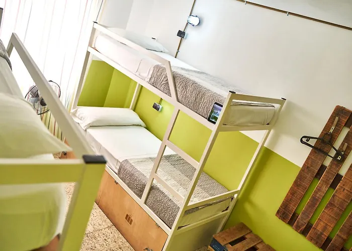 Hotel adatto agli animali: Loft Hostal Group