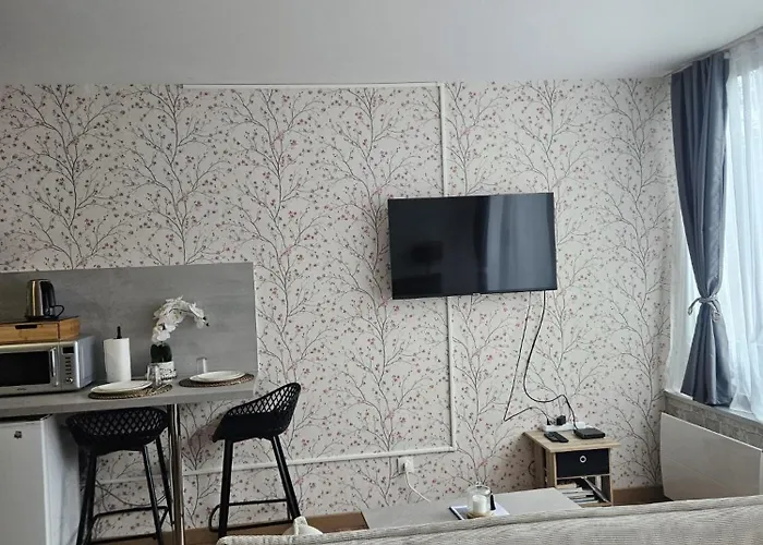 Studio Le Belvédère TURCKHEIM