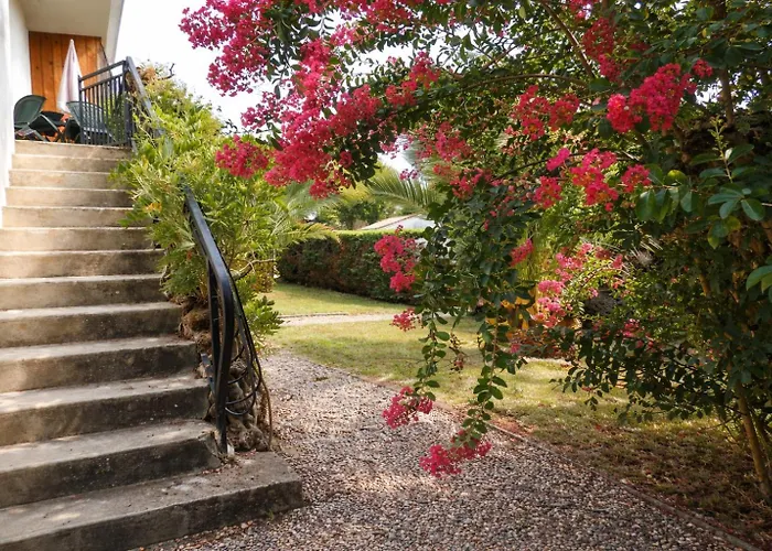Appartement Albizia-Résidence Les Glycines