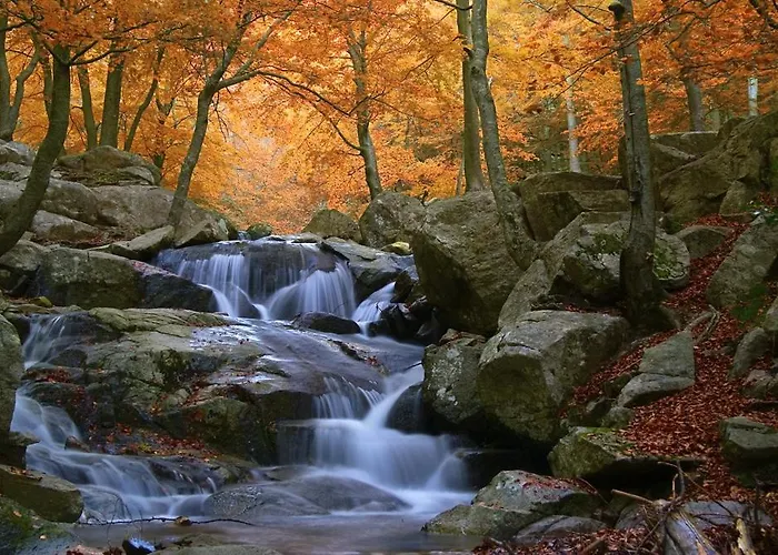 Viladrau Paz y Naturaleza