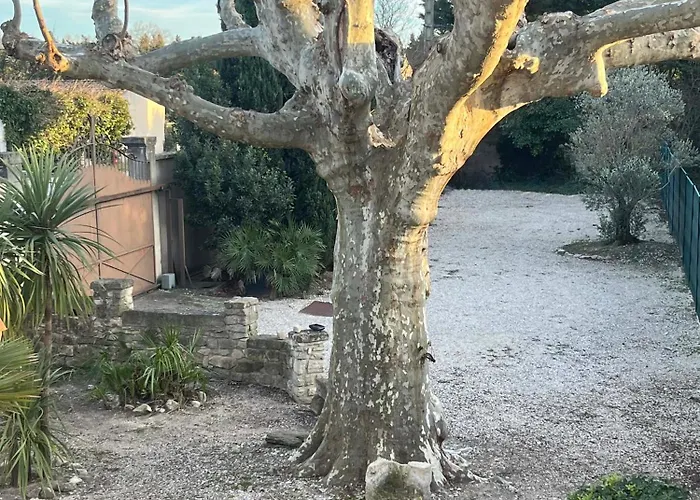 Le Mas du Platane - logement deux chambres en Provence
