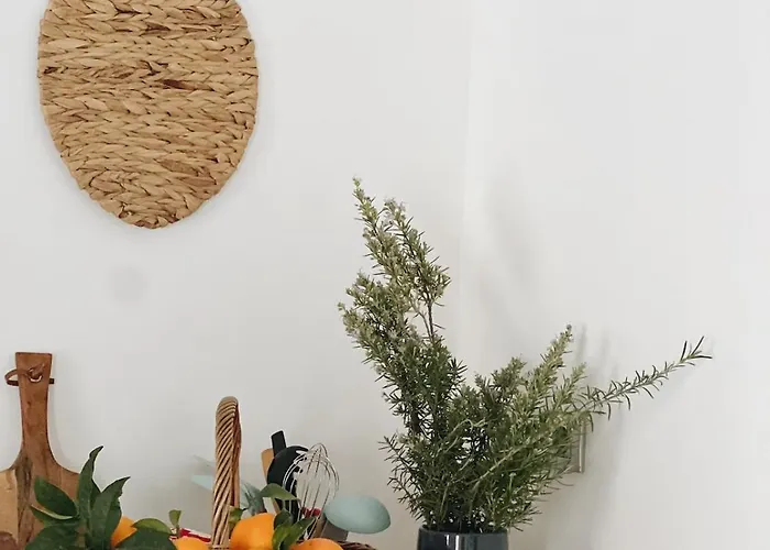 Maison La Petite Julianne Gite En Provence Proche Verdon