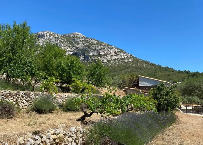 Cabanon insolite au coeur de la Provence
