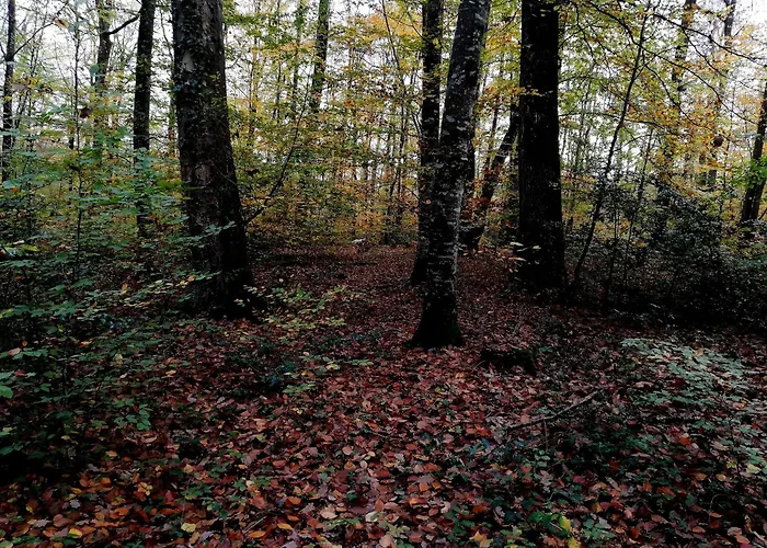 La Croix Perette