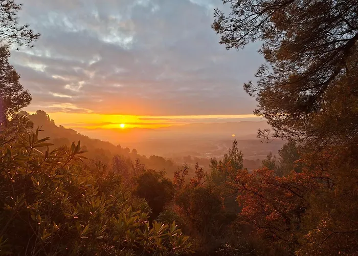 Les Ribas villa groupe, de 4 a 14 personnes, maison familiale, séjour nature, calme, Provence, Plaine des Maures, proche mer, Verdon, randonnée, terrain arboré, jeux enfants, pétanque, ping-pong, cuisine équipée, grande capacité, vacances en groupe