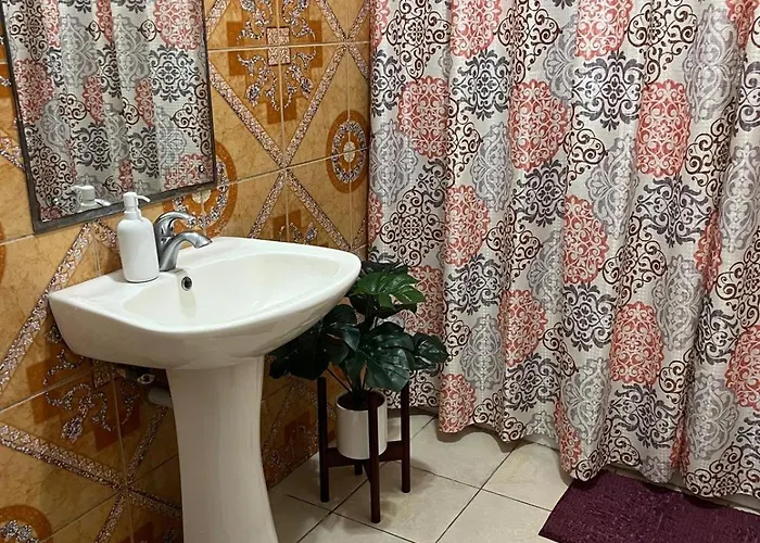 Lynette'S Palace