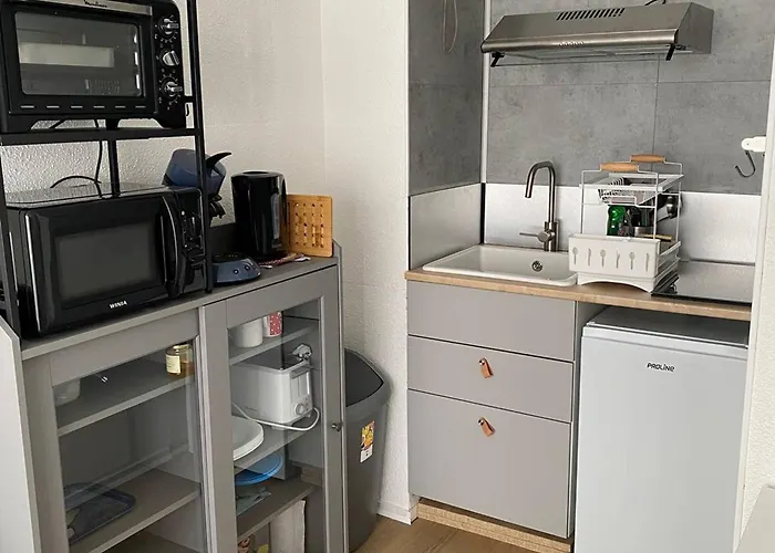 Studio Avec Balcon, Parking Gratuit, Proche Pistes - Fr-1-602-122