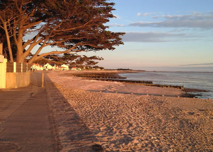 Duplex calme proche plage, parking sécurisé, petit animal accepté - FR-1-306-1322