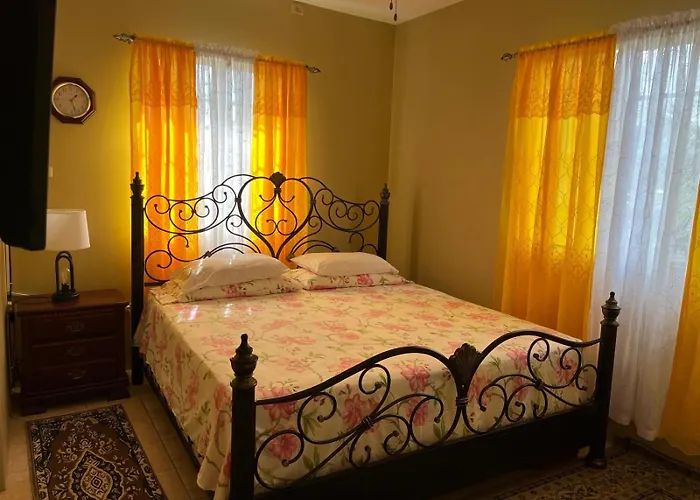 Lynette'S Palace