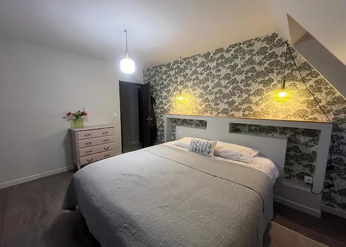 Appartement Renove Avec 3 Chambres