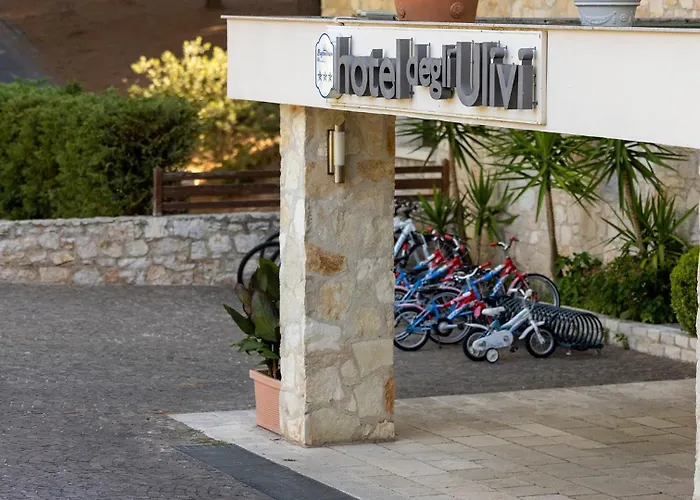  Degli Ulivi
