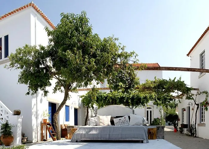 Oryza Guest House& Suites