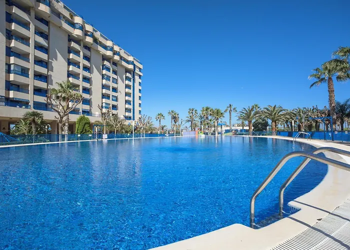 Perros hoteles Style Patacona