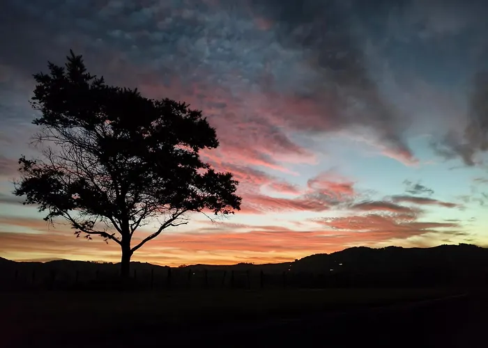 Maungatautari Outlook Cambridge
