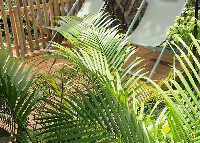 Tikaban