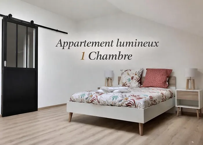 Appartement spacieux et lumineux proche gare