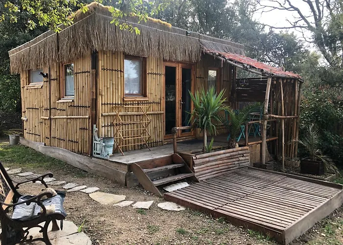 Cabane bambou