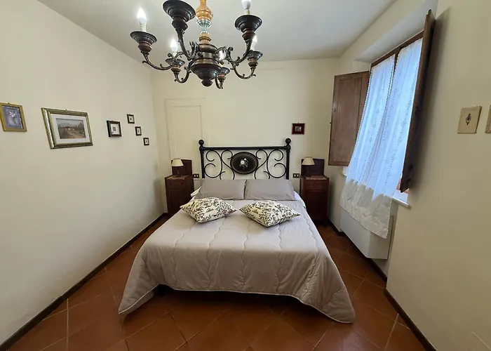 Il Pettirosso Di