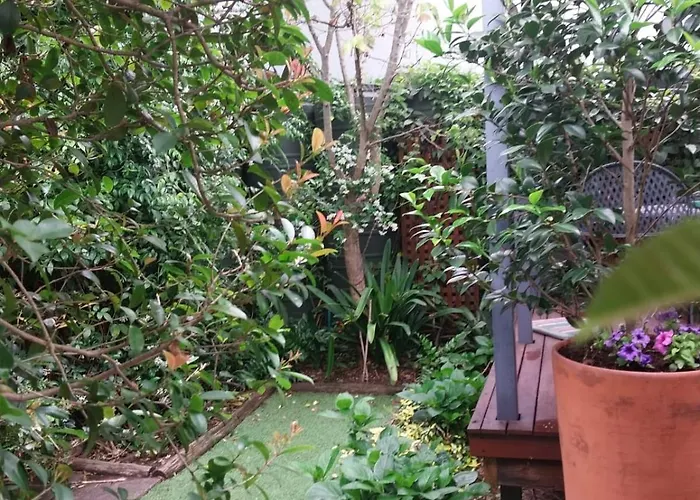 B'S Place