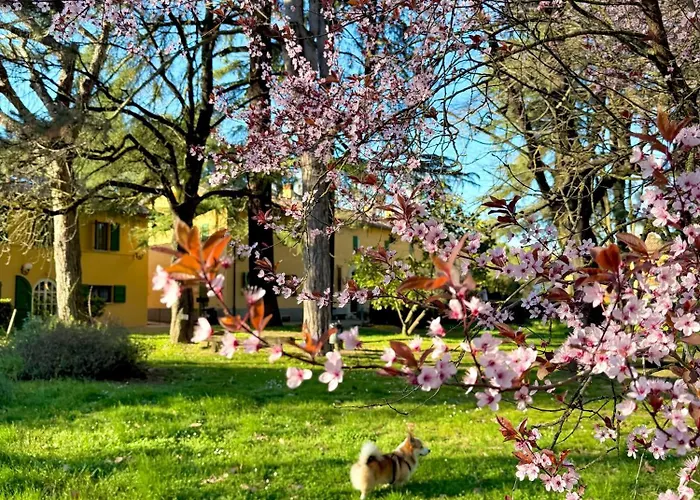  Ca' Vecchia
