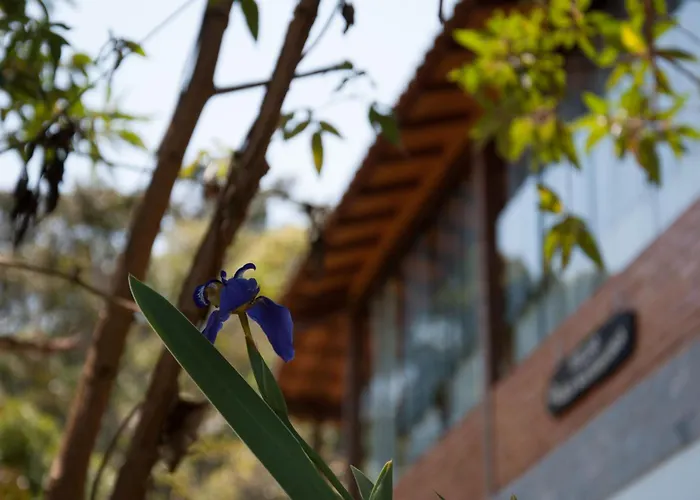 Spa e Hotel Fazenda Gaura Mandir