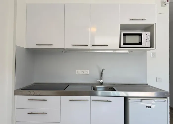 Hôtel accueillant les animaux: Agi Rescator Apartments