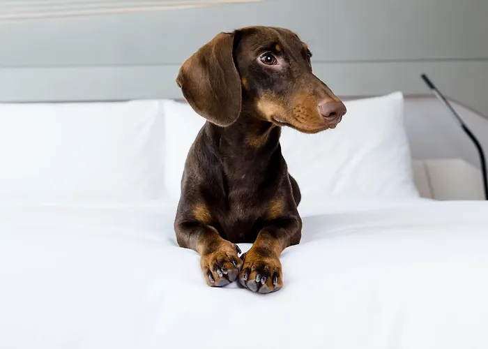 Hotel: Bellevue Sardinia Resort Affiliated by Meliá