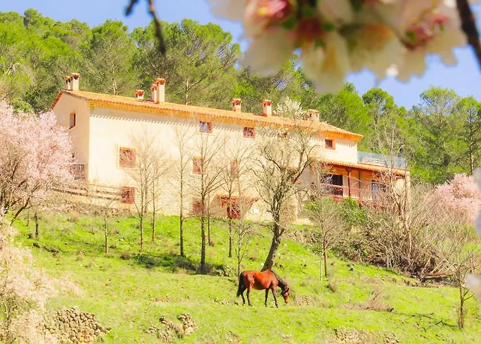 Mirabueno Cabaña