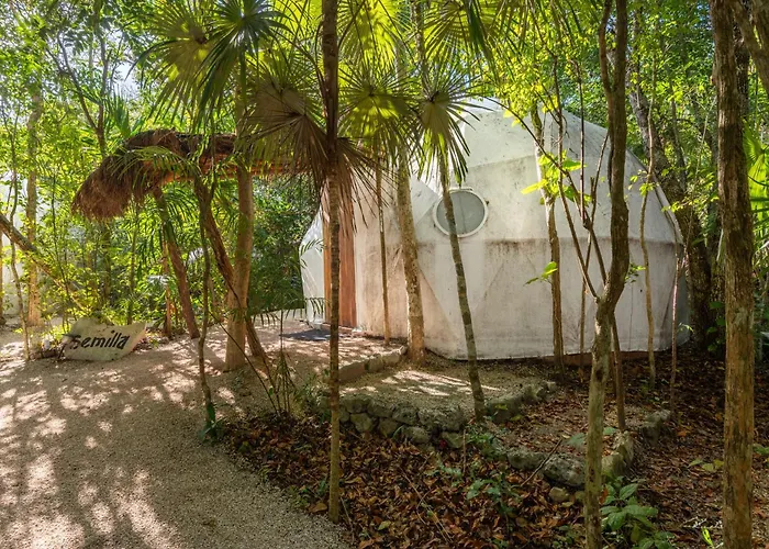 Jungle Glamping K'U' Kuk