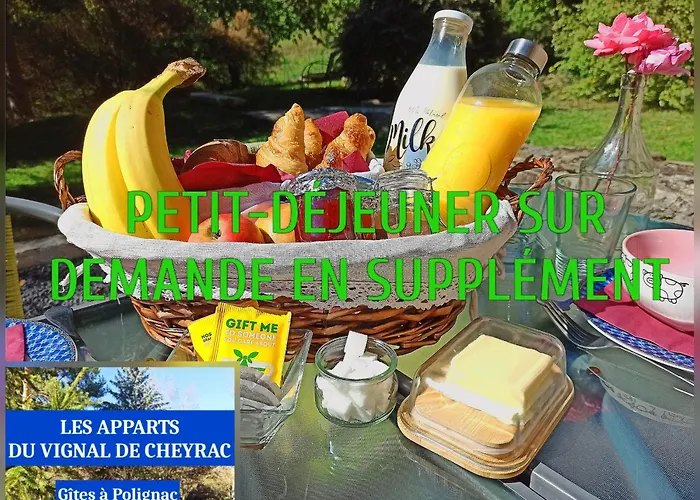 Les Apparts du Vignal de Cheyrac