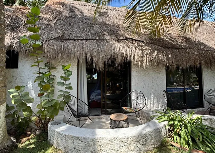 Perros hoteles Mayan Mittoz