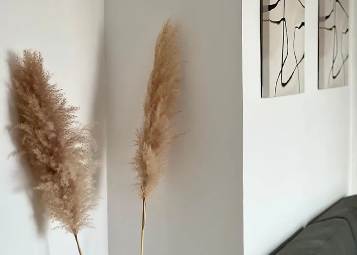 Canaryislandshost l Balcón del Mar