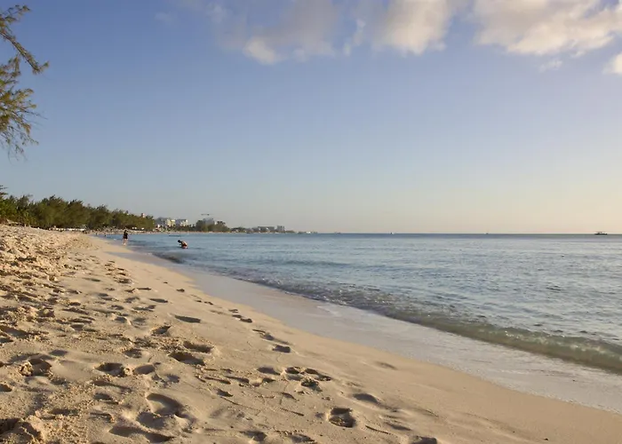 Luxury 1 Bed Apartment Near Seven Mile Beach At The Grove - Villa Zen
