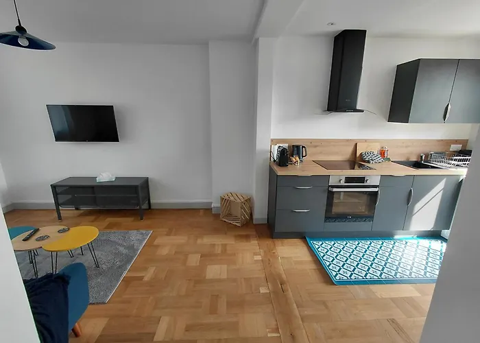 Appartemement F2 refait à neuf hyper centre