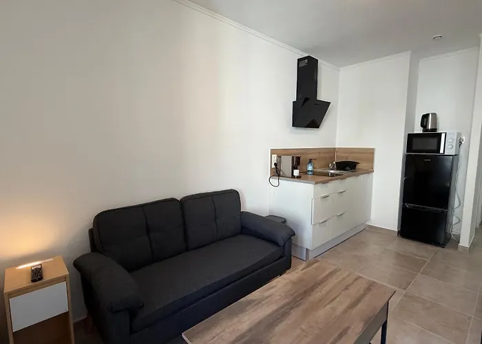 Appartement T2 40 M2 cosy RDC plein centre ville
