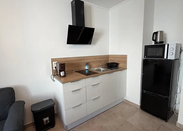 Appartement T2 40 M2 cosy RDC plein centre ville