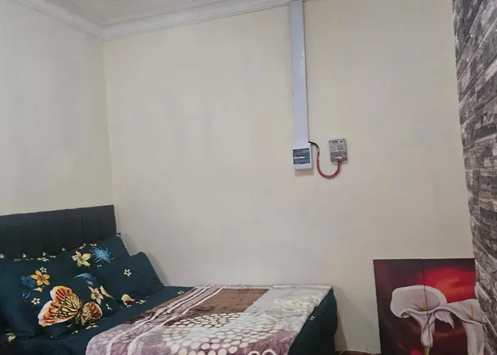 Dog friendly hotels Jakaranda B&B
