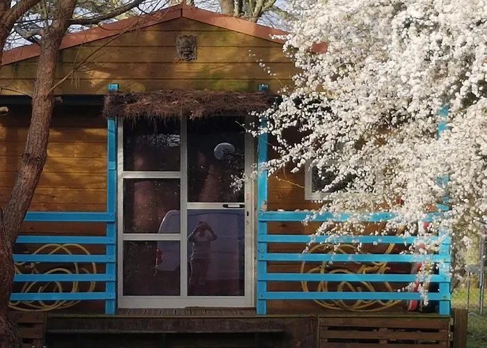 Chalet Zen dans les landes