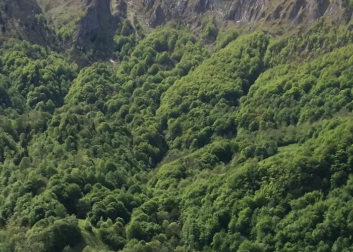 gîte les alberts - l'estagnol au cœur de la montagne - 3étoiles - 35m2