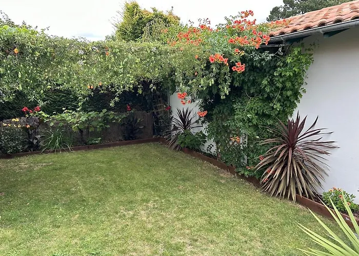 Landaise rénovée au calme, piscine chauffée, climatisation