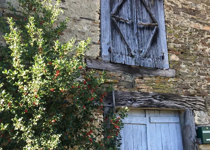 Gite La Grange Ruimte Comfort En Wandelplezier