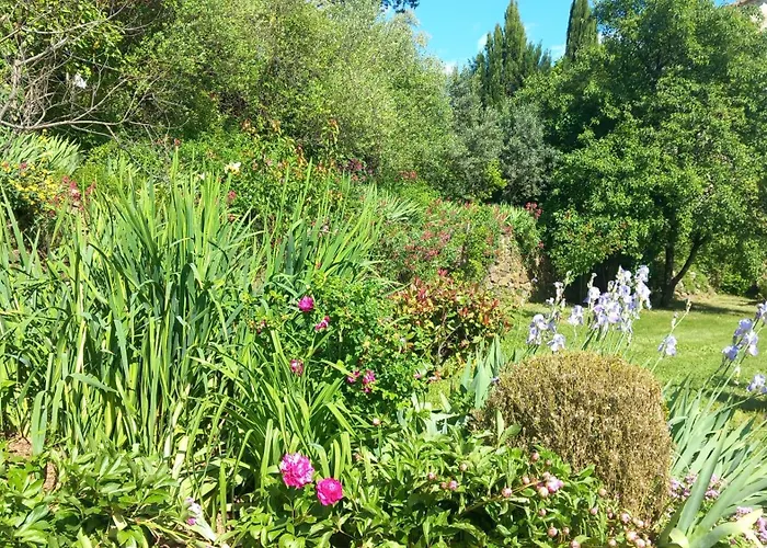 La Chouette, Piscine, Jardin , Parking, Wifi