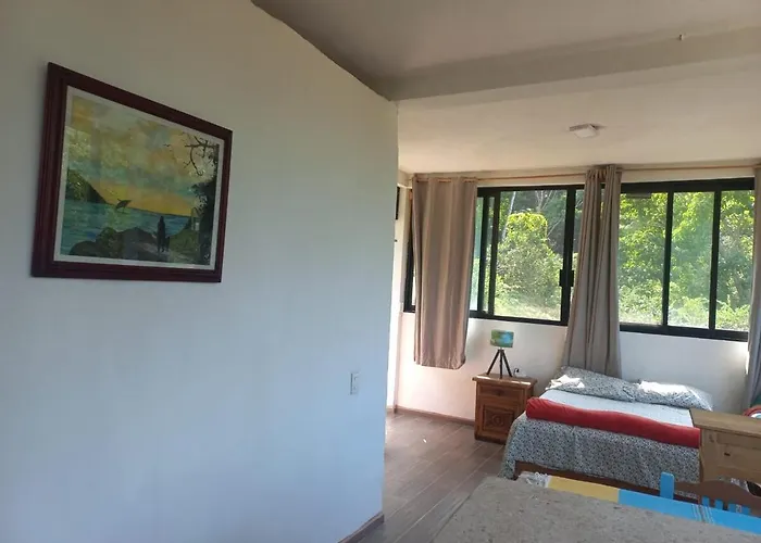 Estudio La Higuera